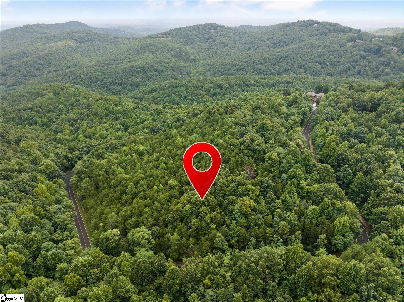 234 Craggy Rock, Landrum, South Carolina image 1