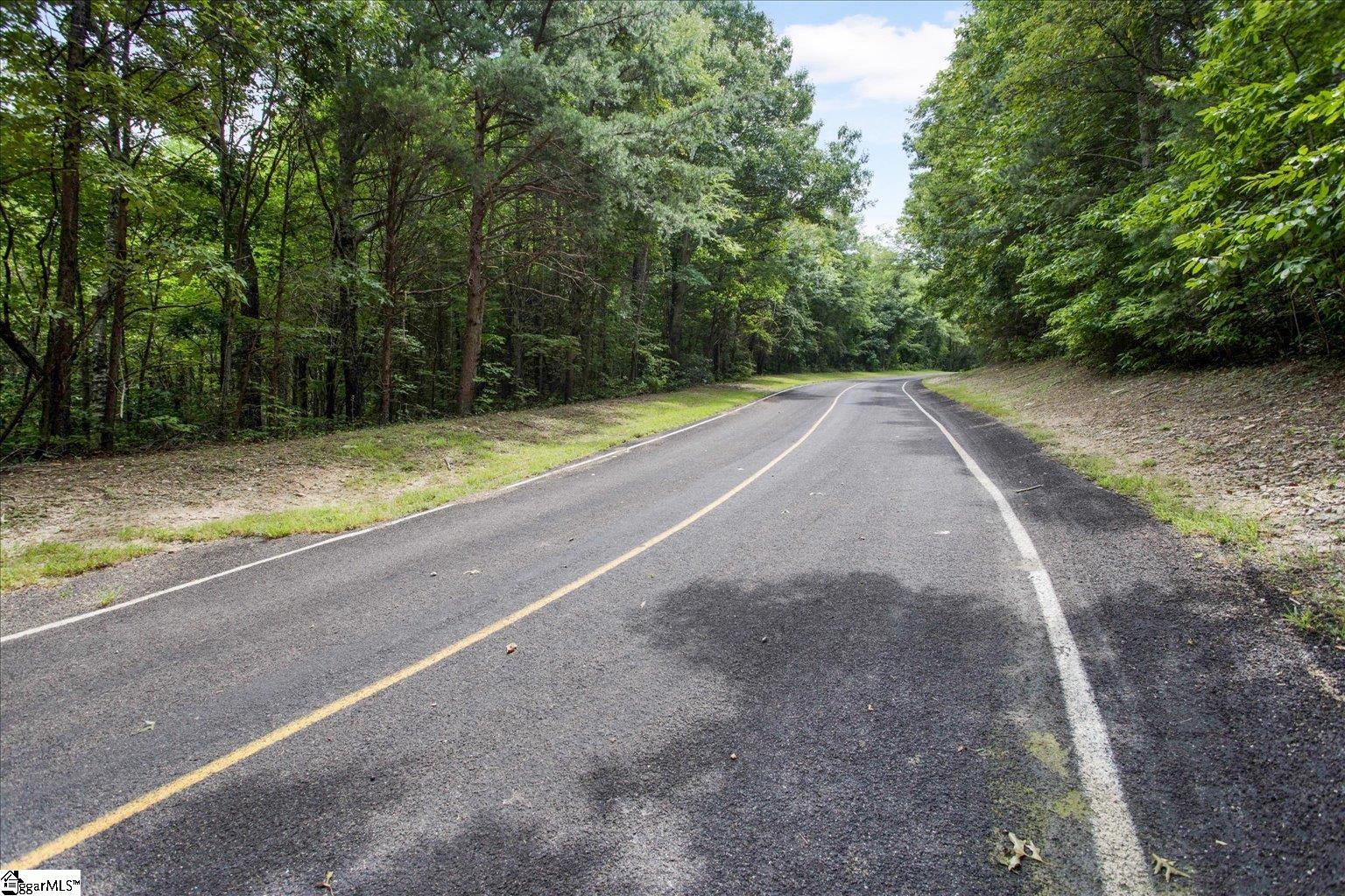 234 Craggy Rock, Landrum, South Carolina image 2