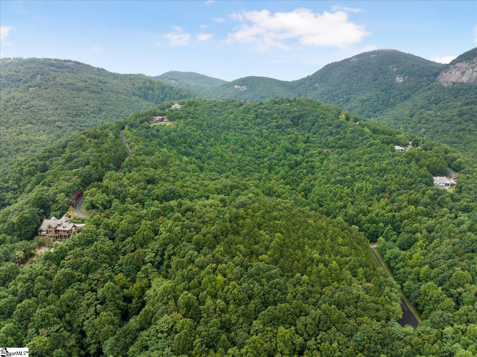 234 Craggy Rock, Landrum, South Carolina image 11