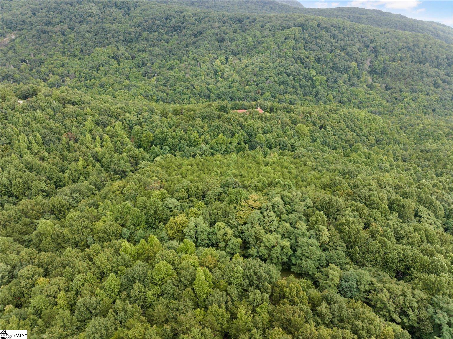 234 Craggy Rock, Landrum, South Carolina image 14