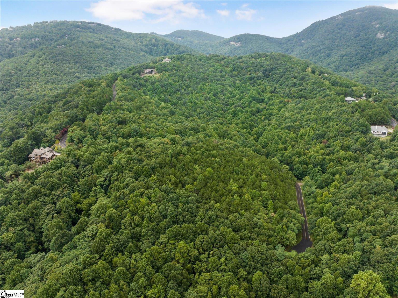 234 Craggy Rock, Landrum, South Carolina image 16