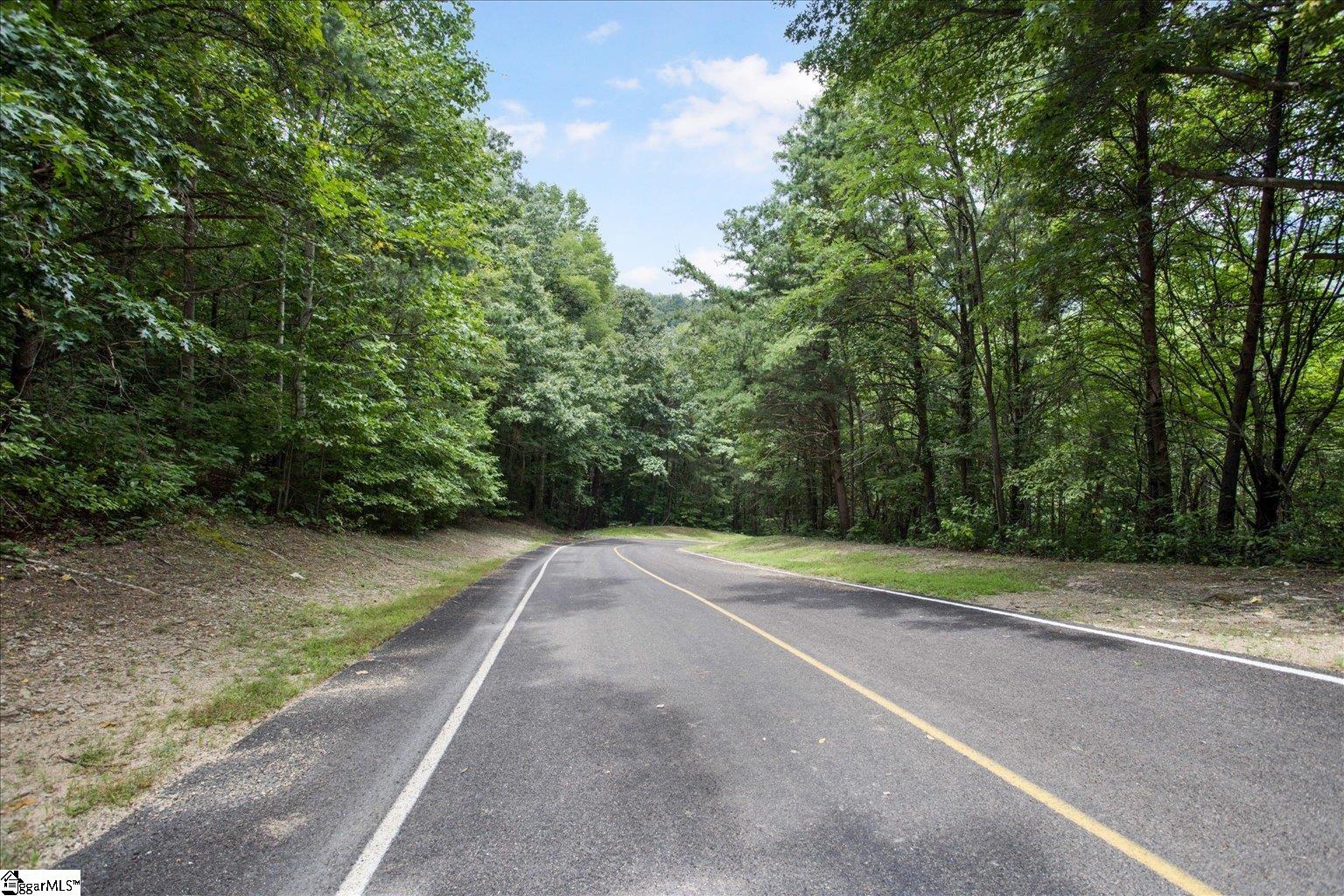 234 Craggy Rock, Landrum, South Carolina image 5