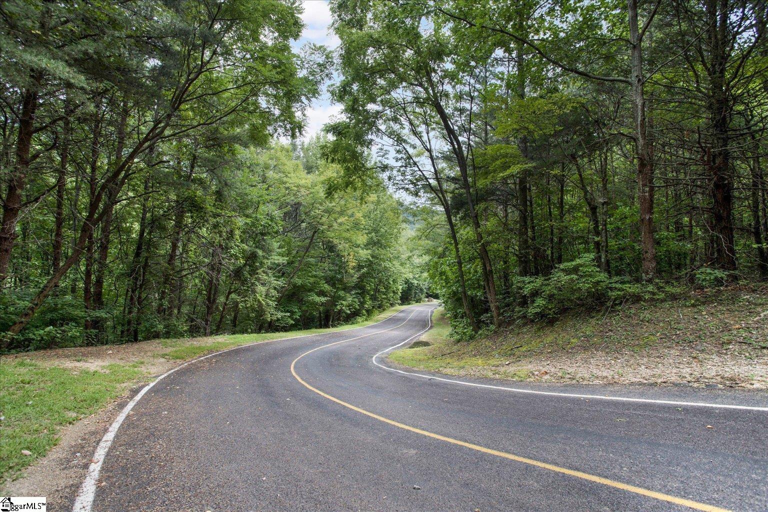 234 Craggy Rock, Landrum, South Carolina image 7
