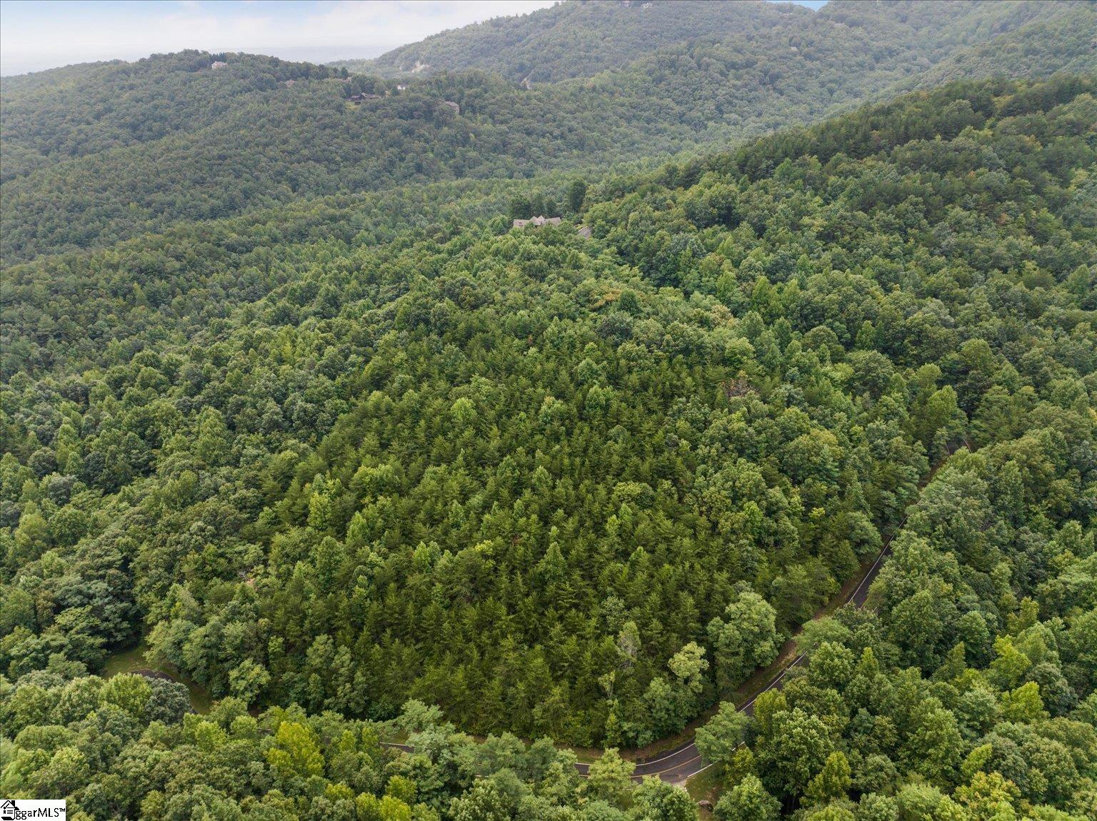 234 Craggy Rock, Landrum, South Carolina image 8