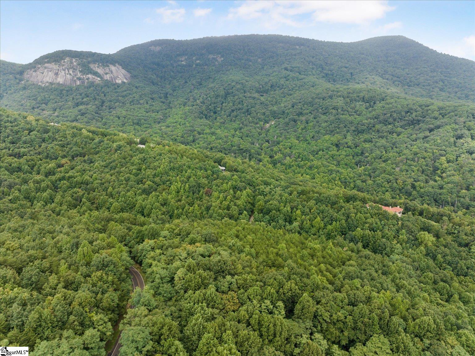 234 Craggy Rock, Landrum, South Carolina image 9