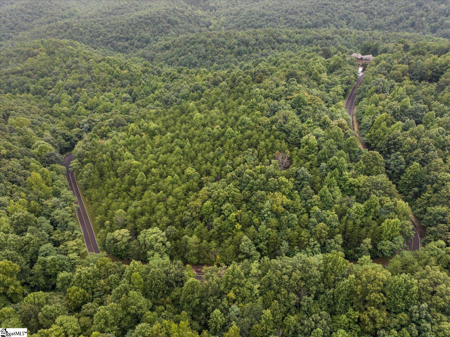 234 Craggy Rock, Landrum, South Carolina image 10