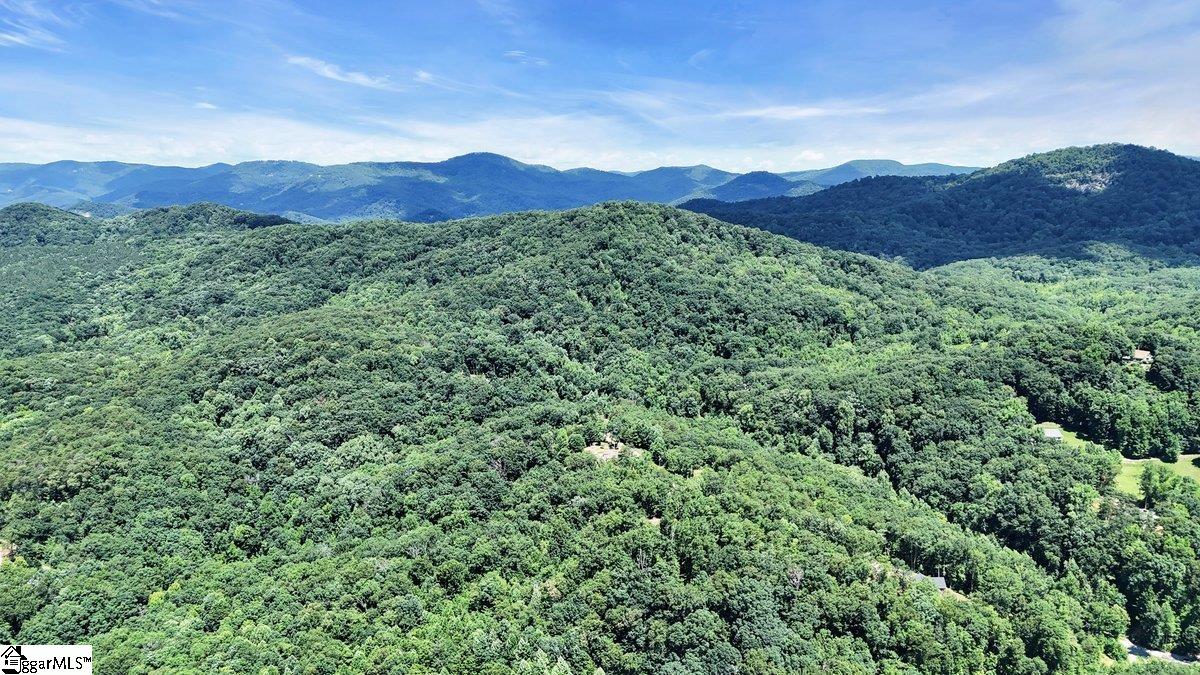 146 Glassy Falls, Travelers Rest, South Carolina image 2