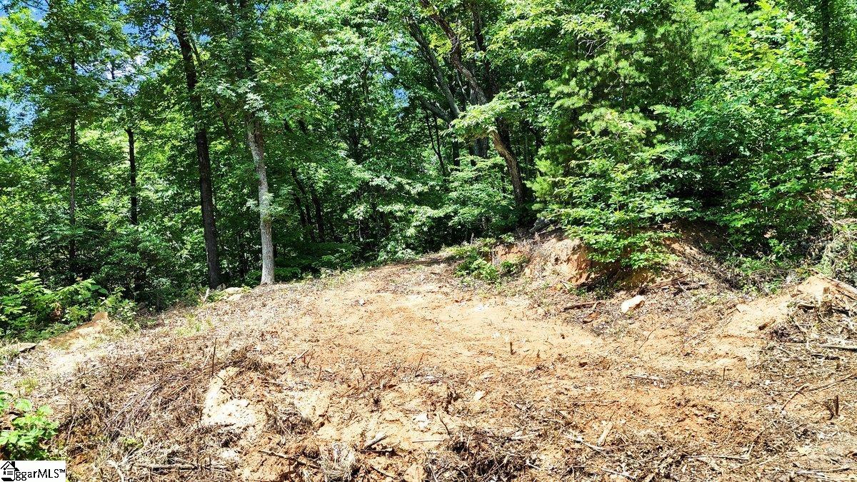 146 Glassy Falls, Travelers Rest, South Carolina image 15
