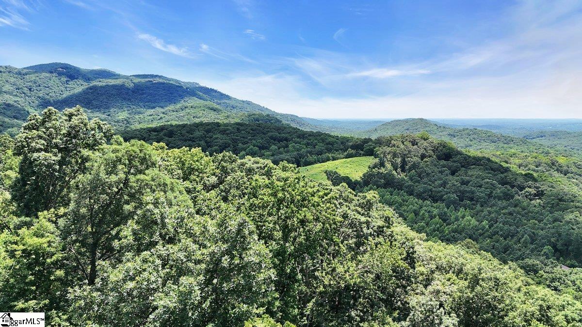 146 Glassy Falls, Travelers Rest, South Carolina image 17