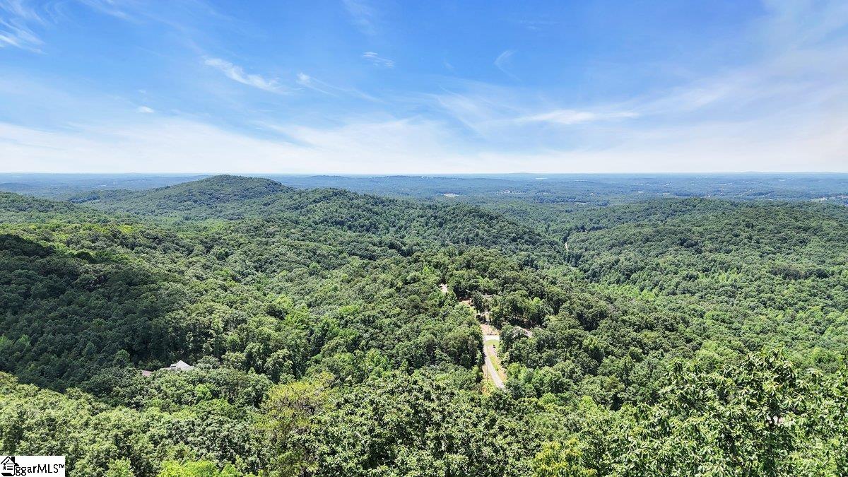 146 Glassy Falls, Travelers Rest, South Carolina image 18
