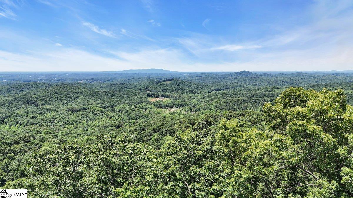 146 Glassy Falls, Travelers Rest, South Carolina image 19