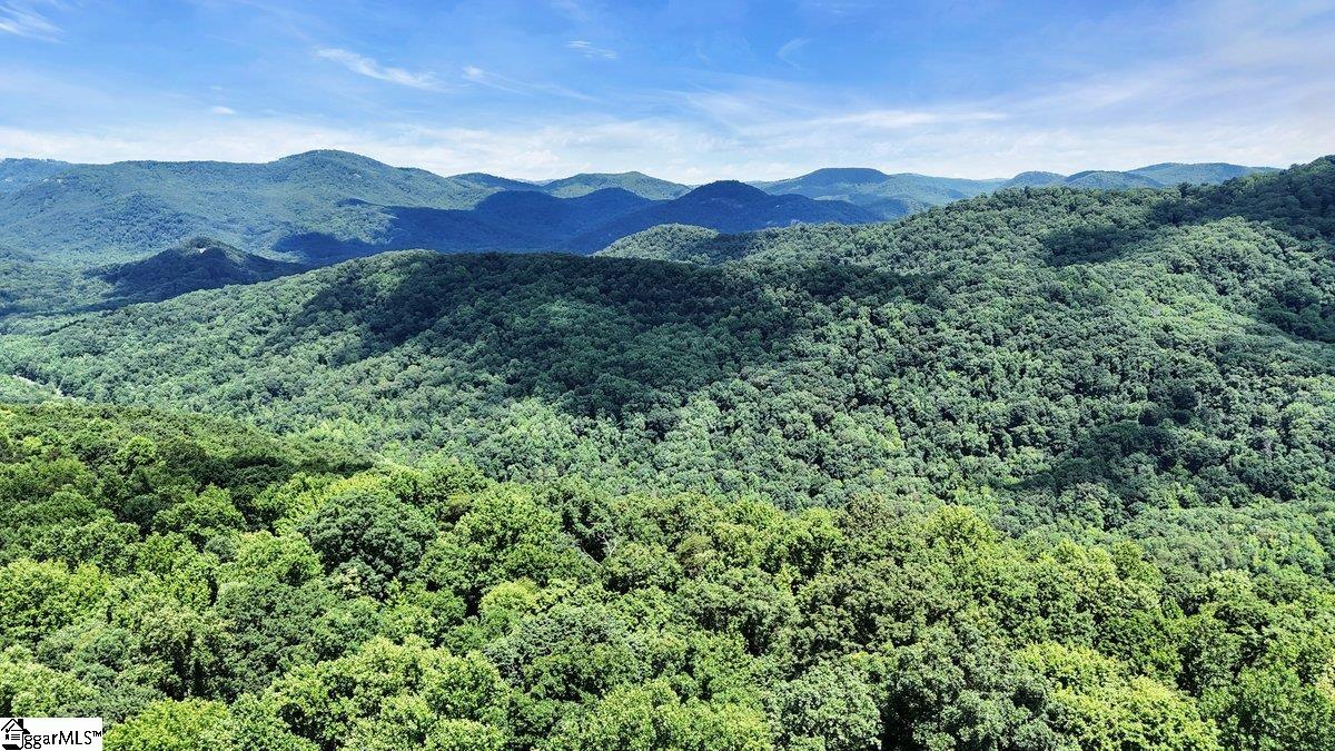 146 Glassy Falls, Travelers Rest, South Carolina image 20