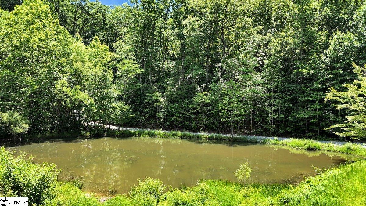 146 Glassy Falls, Travelers Rest, South Carolina image 23