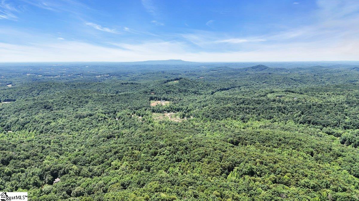 146 Glassy Falls, Travelers Rest, South Carolina image 25