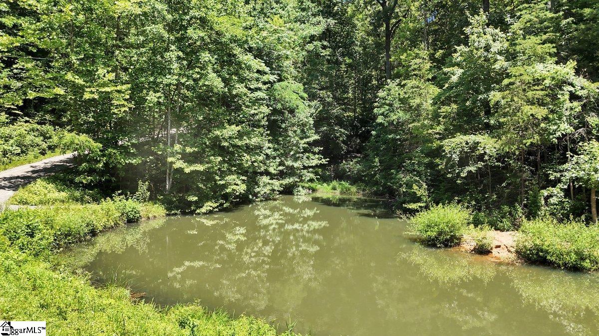 146 Glassy Falls, Travelers Rest, South Carolina image 27