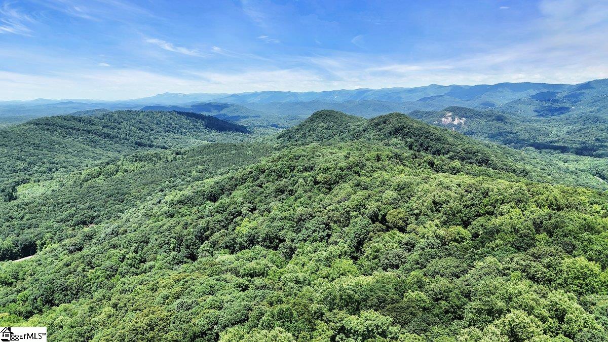 146 Glassy Falls, Travelers Rest, South Carolina image 28