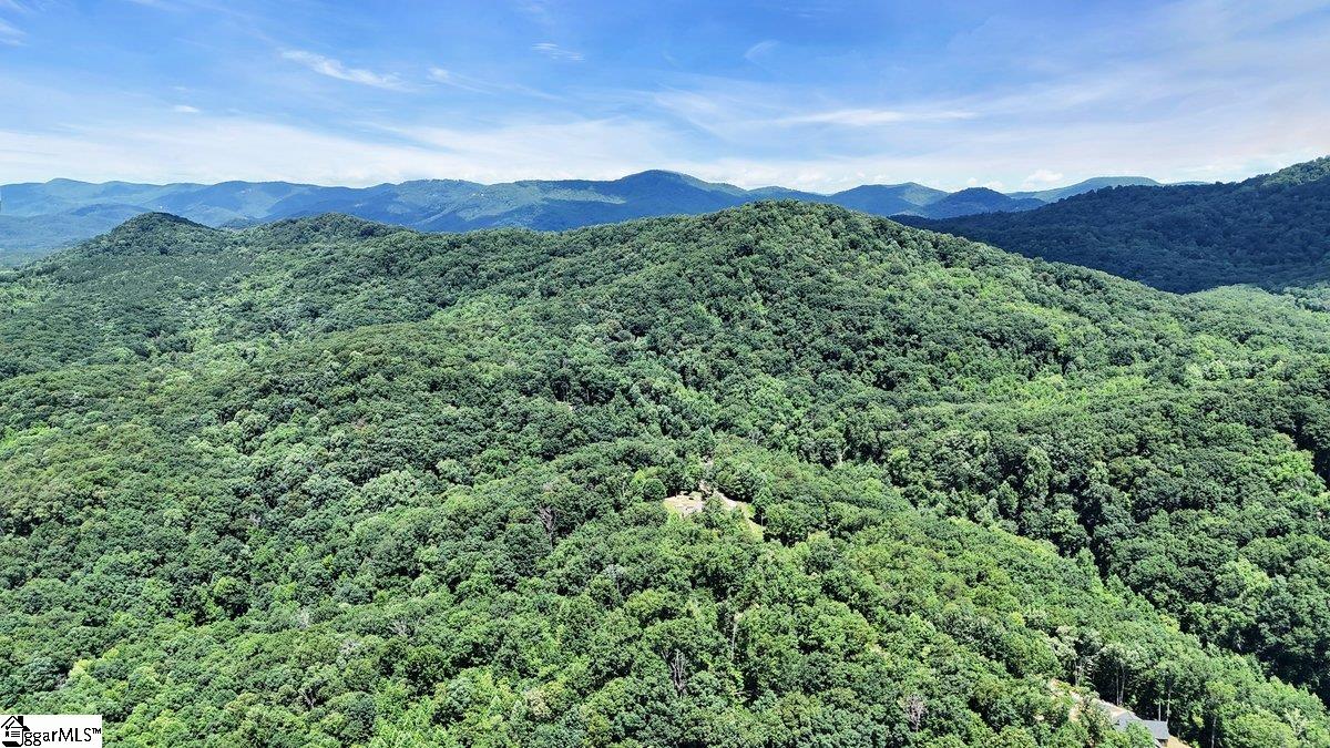 146 Glassy Falls, Travelers Rest, South Carolina image 5