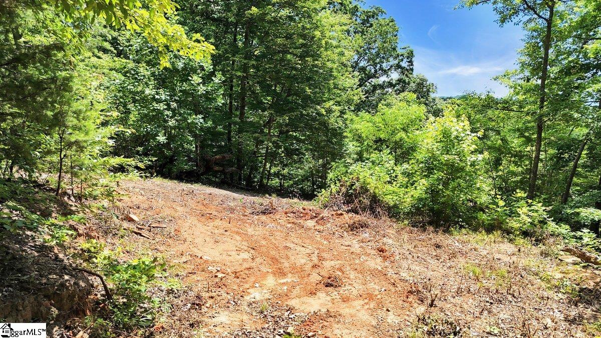 146 Glassy Falls, Travelers Rest, South Carolina image 8