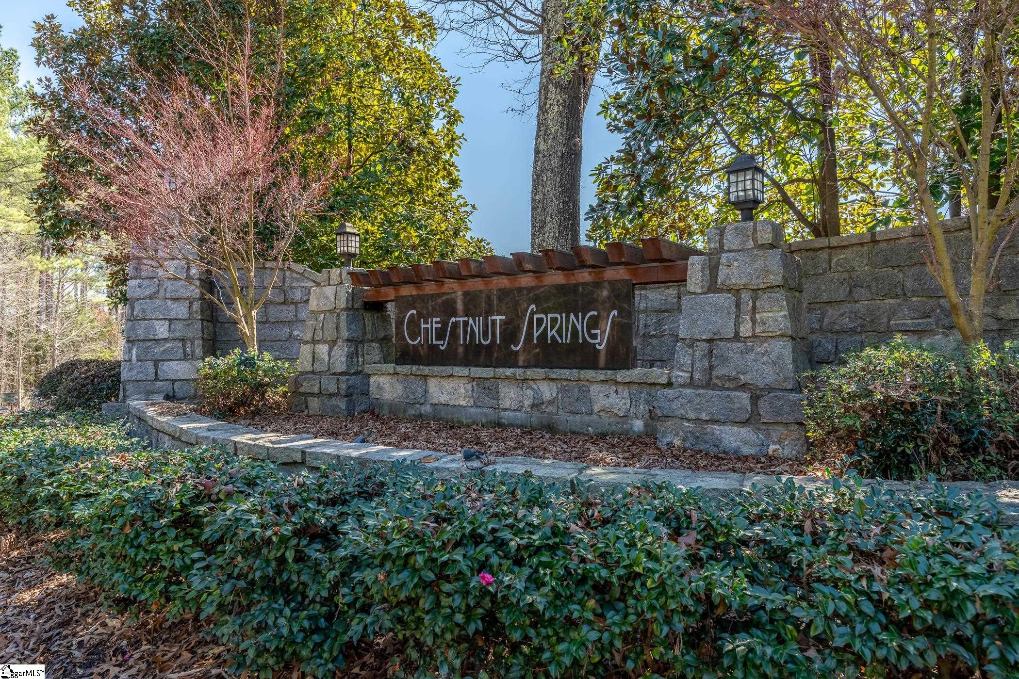 208 Chestnut Springs, Williamston, South Carolina image 8