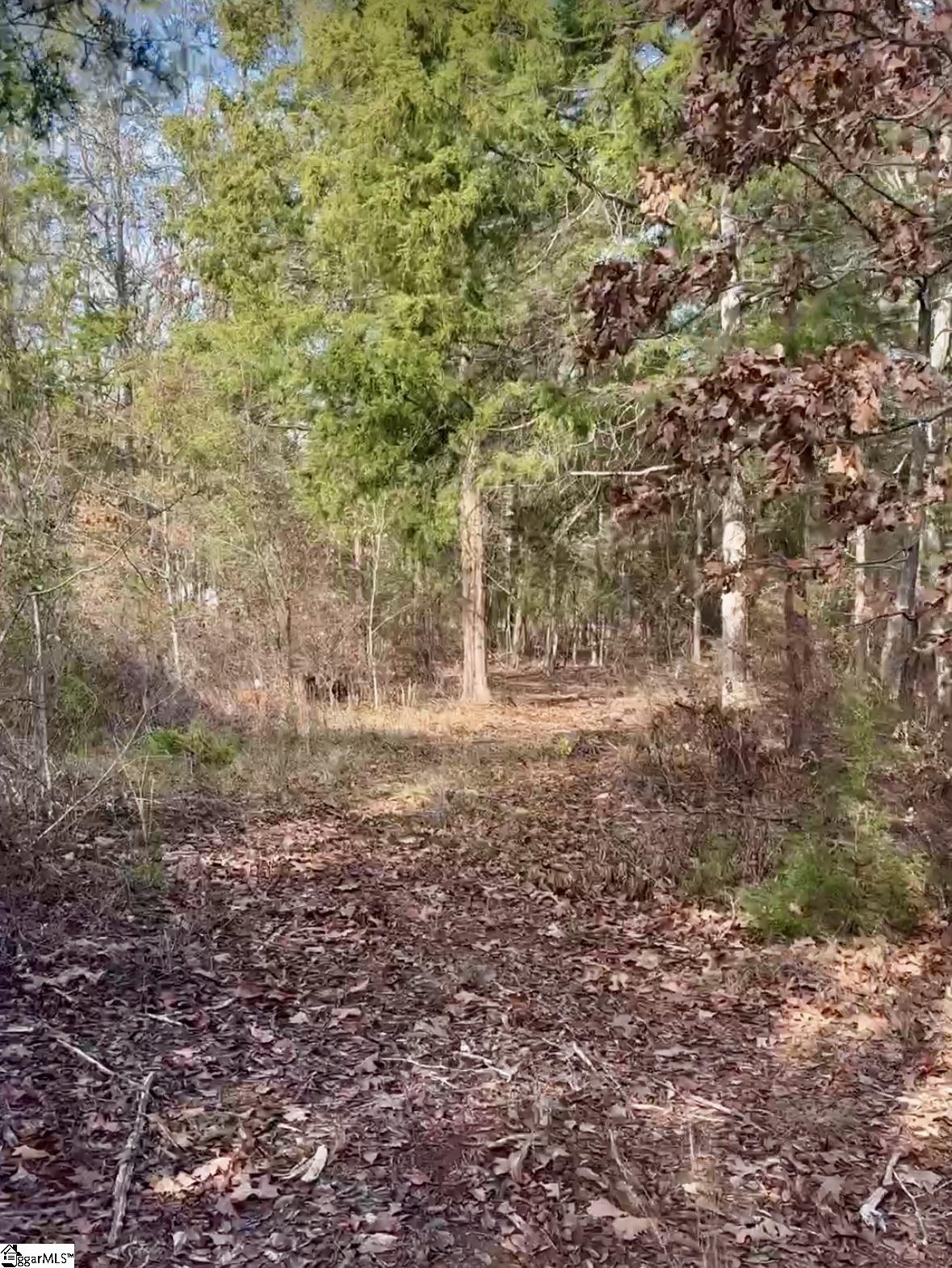 00 Mount Lebanon Road, Pauline SC 29374