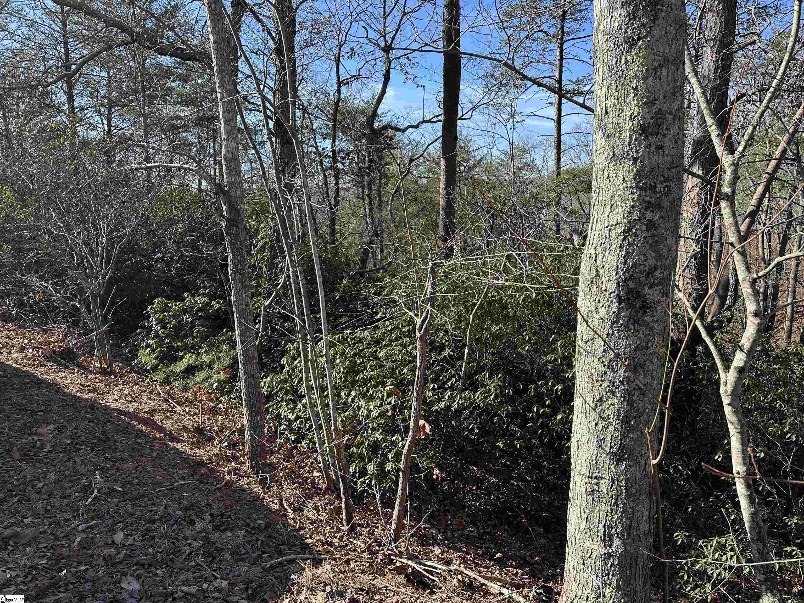00 Caldonia, Landrum, South Carolina image 1