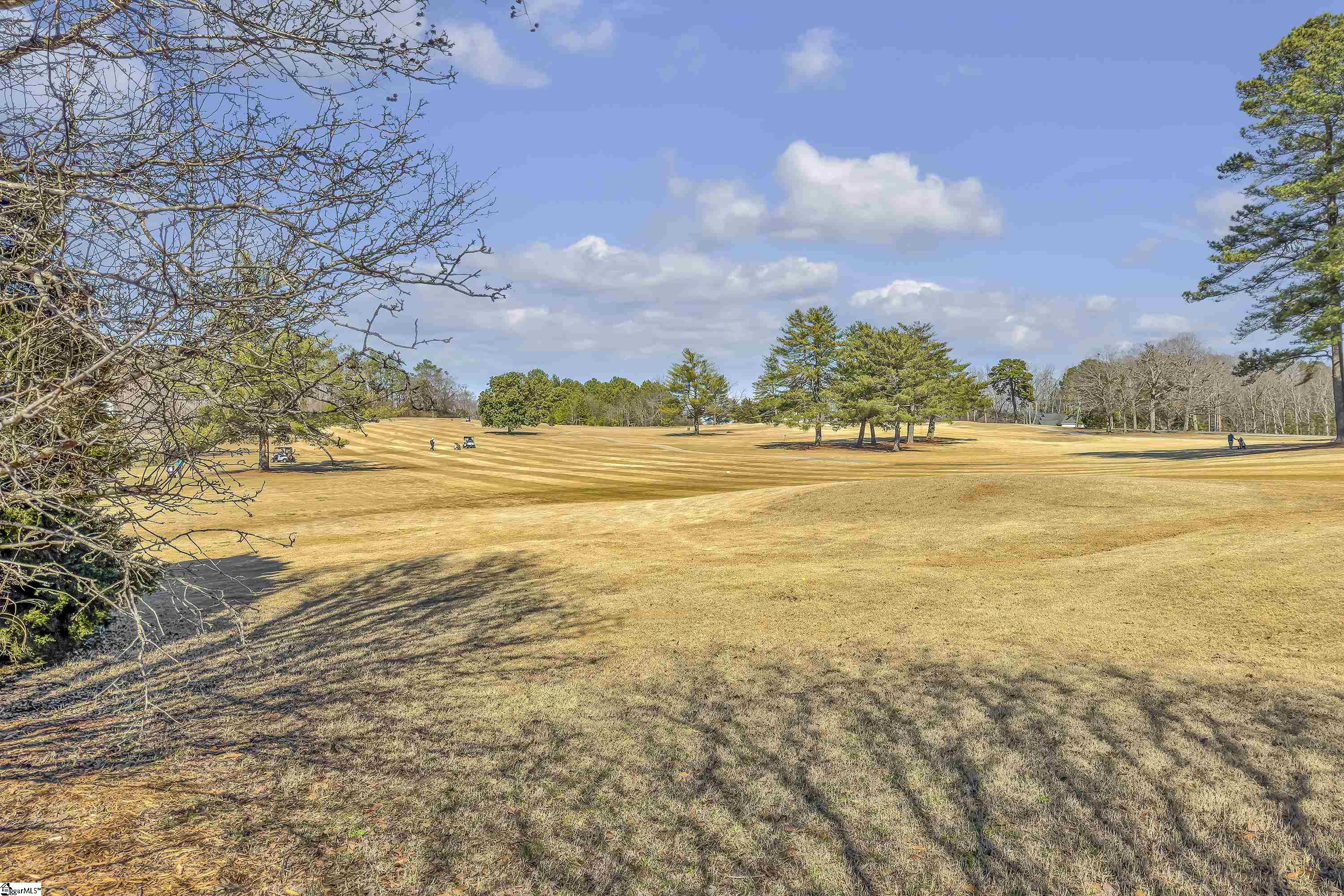 186 Pheasant, Fountain Inn, South Carolina image 31