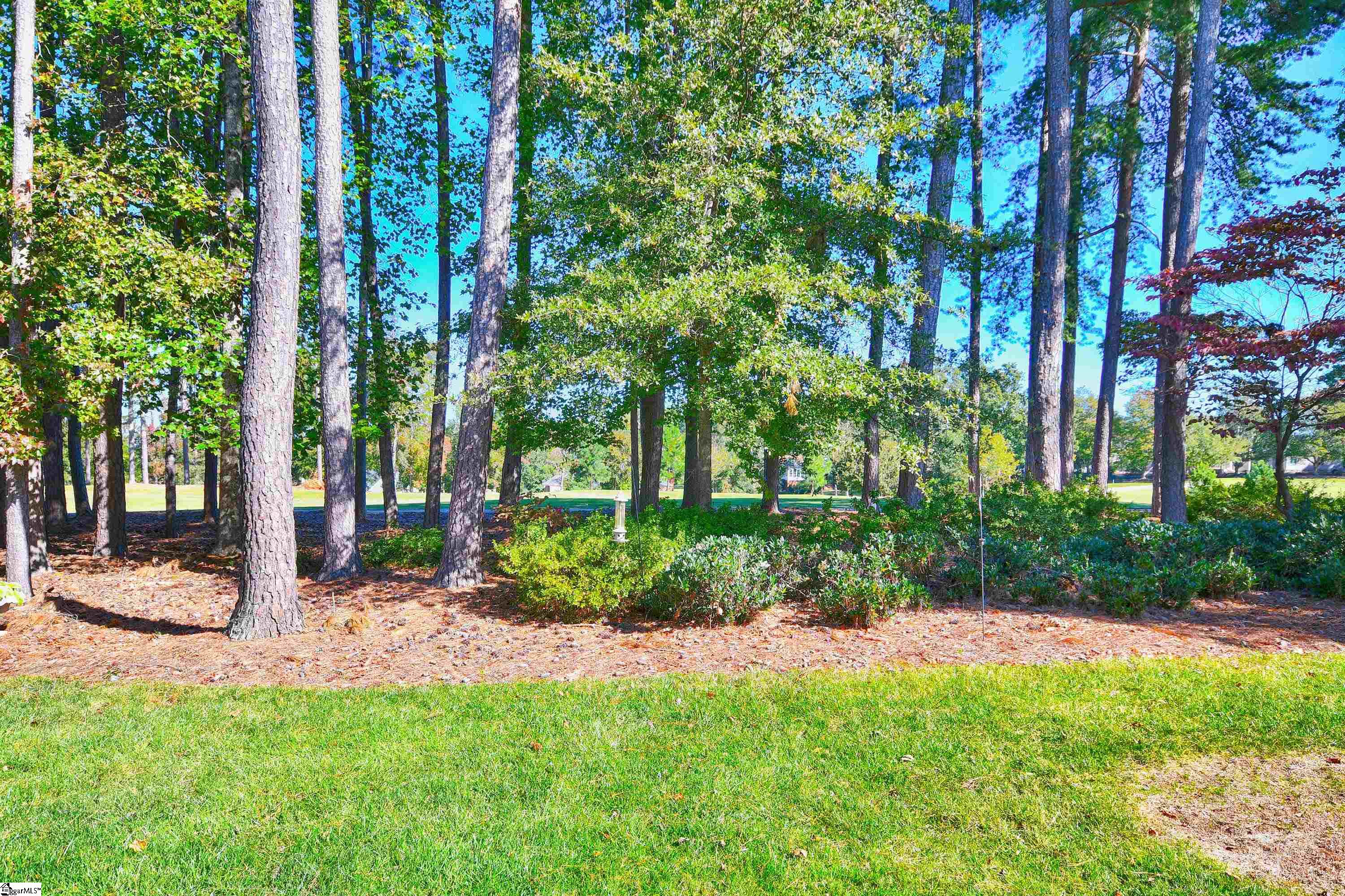 210 Castellan, Greer, South Carolina image 15