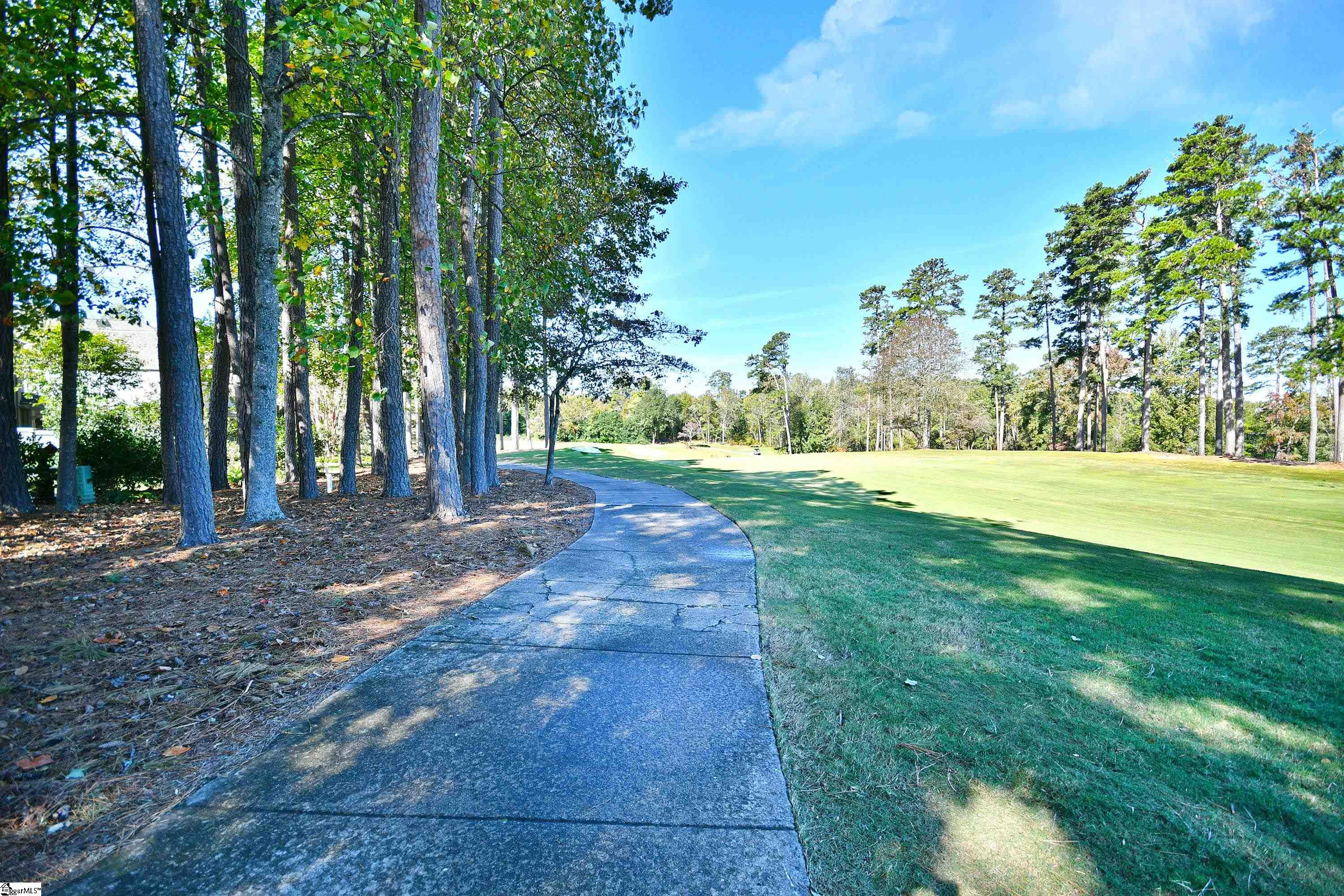 210 Castellan, Greer, South Carolina image 18