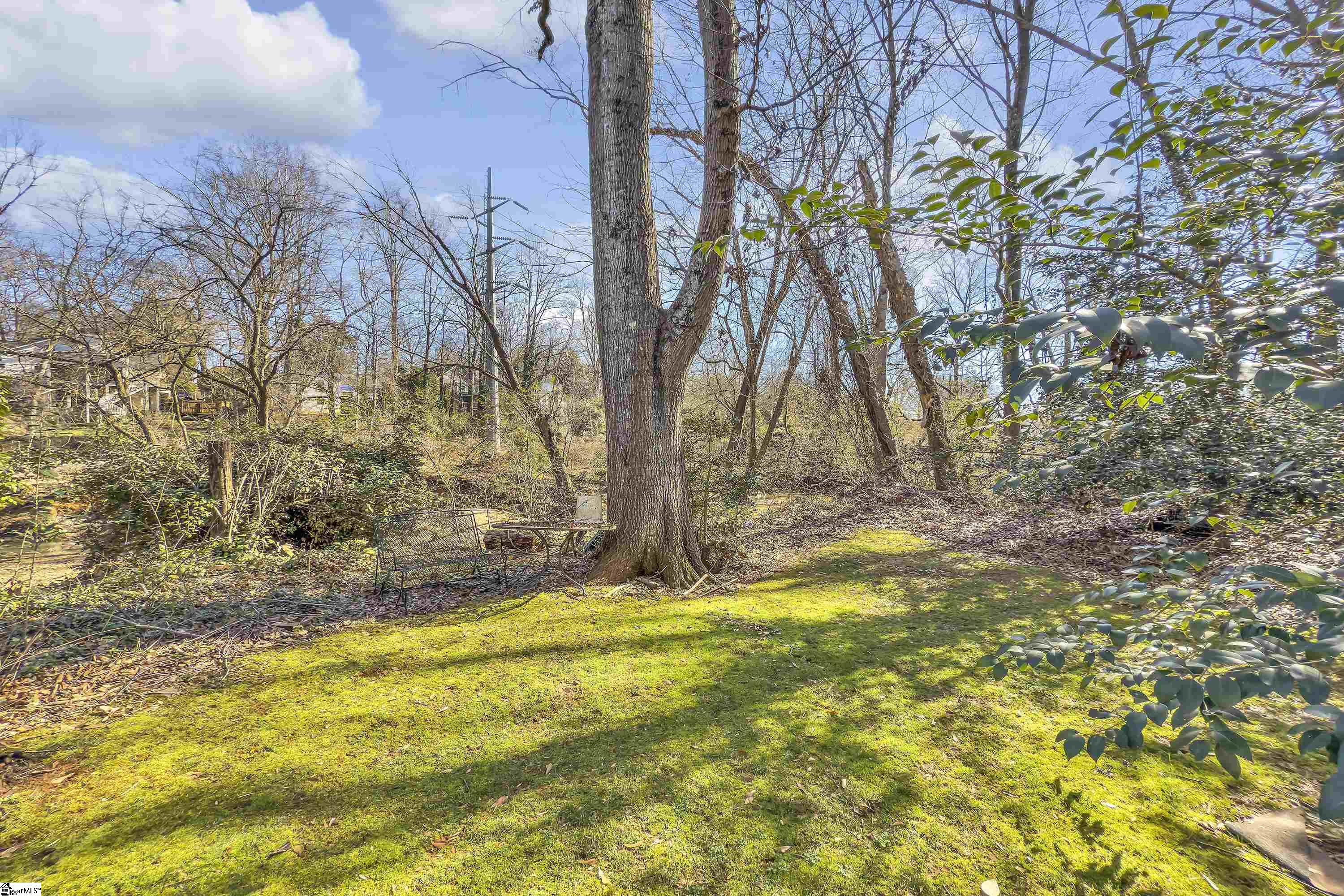 27 Club Forest, Greenville, South Carolina image 29