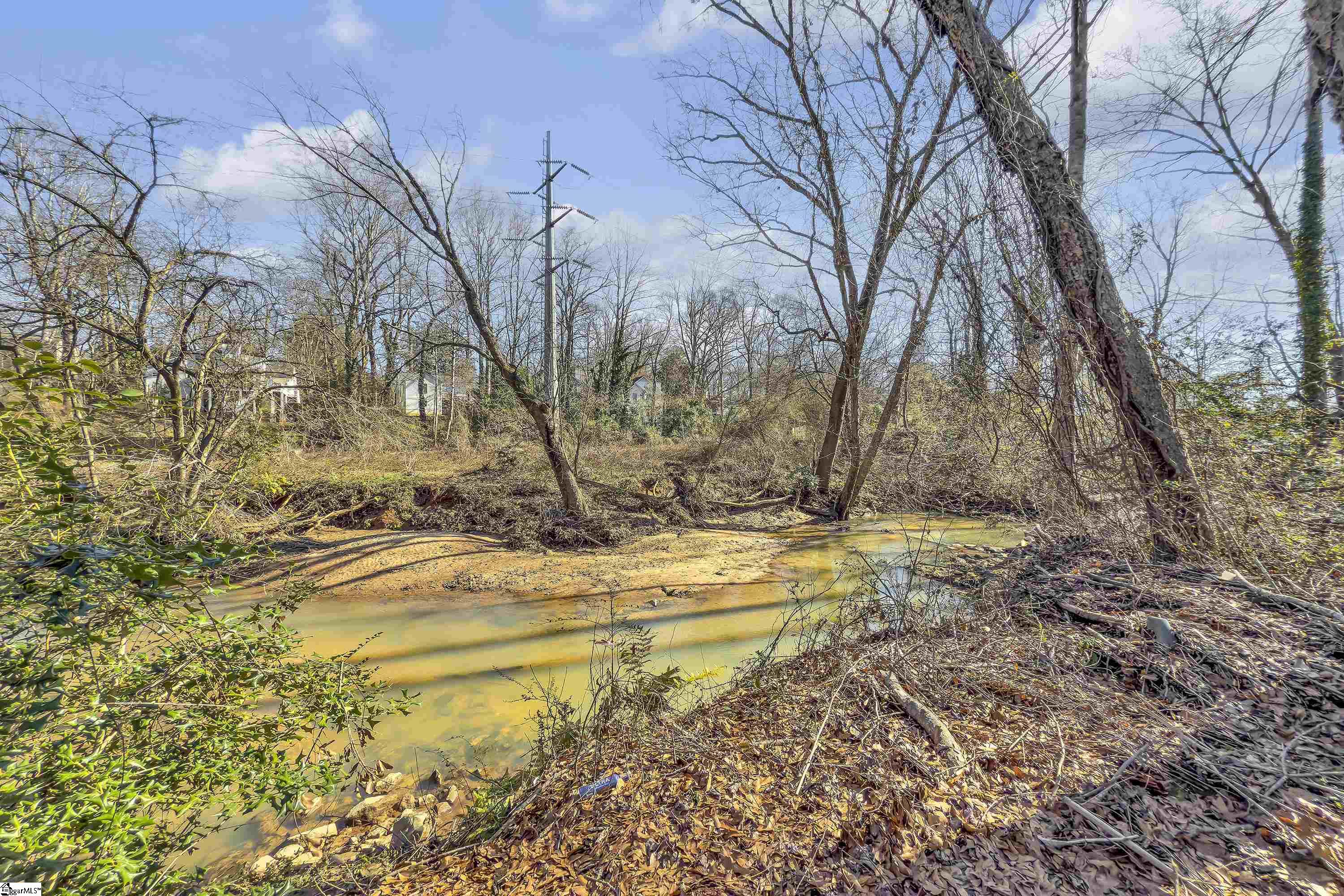 27 Club Forest, Greenville, South Carolina image 42