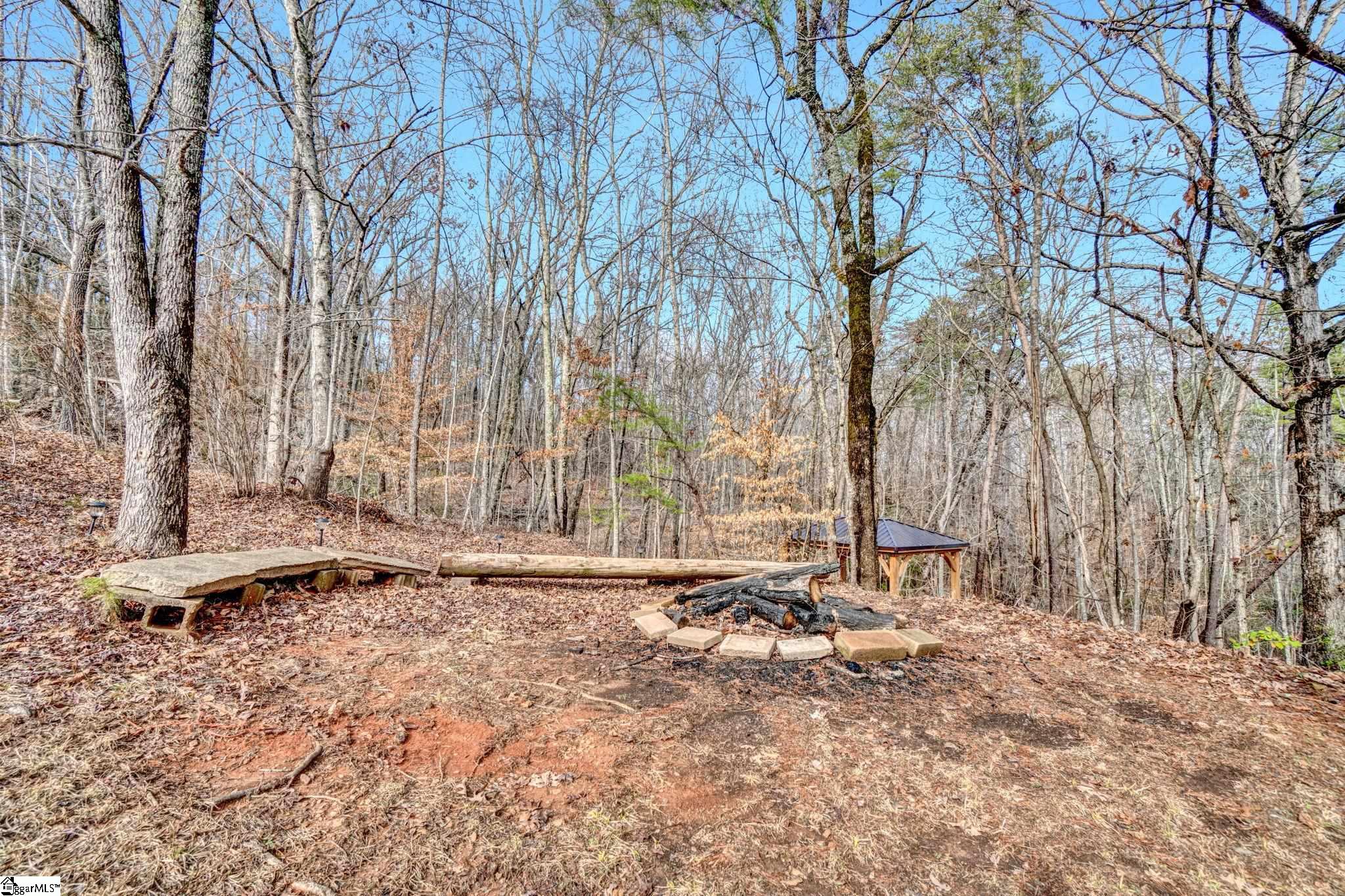 203 Wolf Creek, Easley, South Carolina image 39