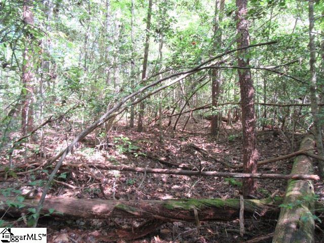 118 Hambys, Pickens, South Carolina image 2