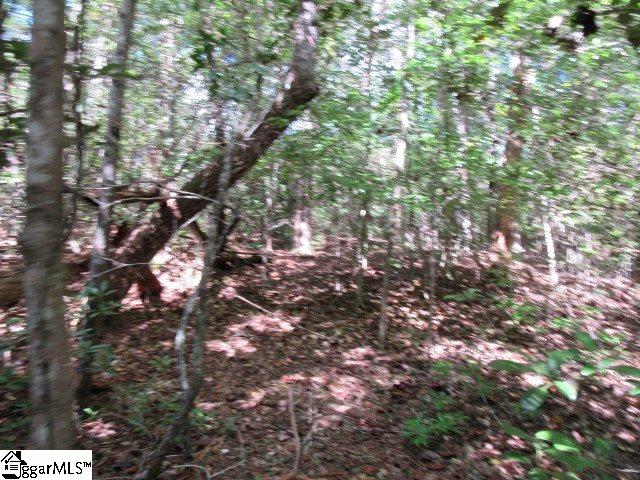 118 Hambys, Pickens, South Carolina image 5