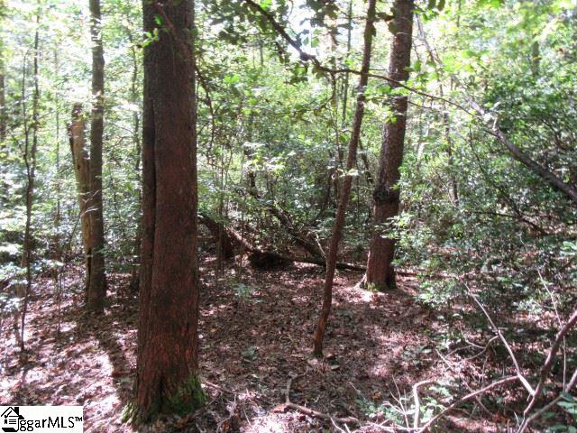 118 Hambys, Pickens, South Carolina image 7