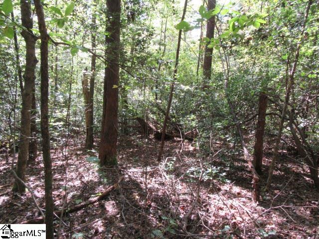 118 Hambys, Pickens, South Carolina image 8
