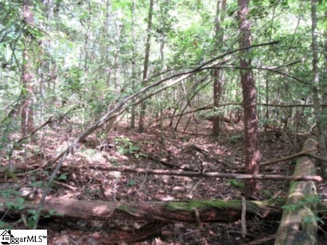 117 Hambys, Pickens, South Carolina image 36
