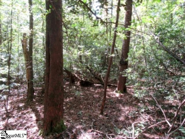 117 Hambys, Pickens, South Carolina image 41