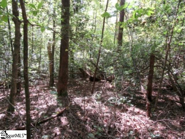 117 Hambys, Pickens, South Carolina image 42