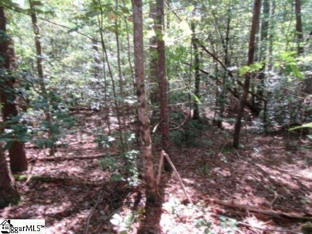 117 Hambys, Pickens, South Carolina image 45