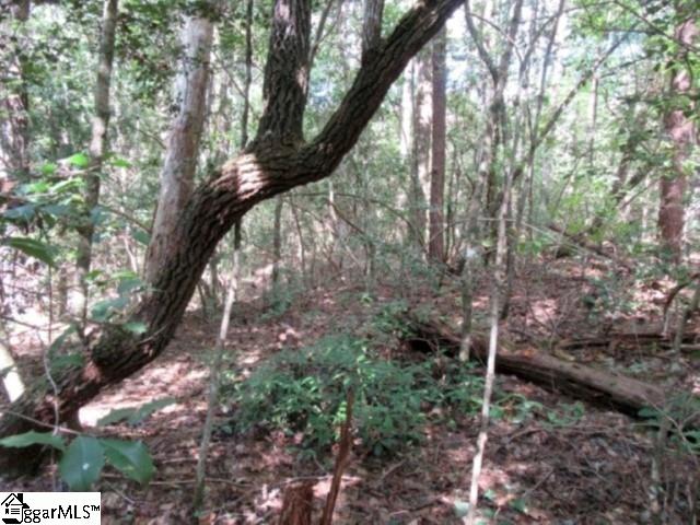 122 Hambys, Pickens, South Carolina image 21