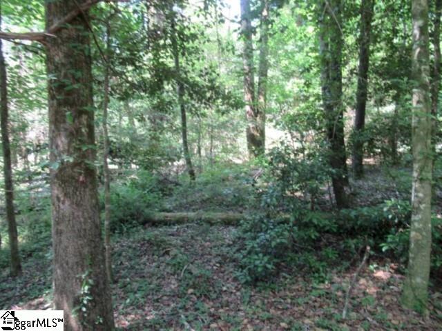 122 Hambys, Pickens, South Carolina image 8