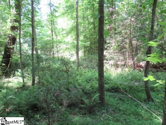 126 Hambys, Pickens, South Carolina image 1