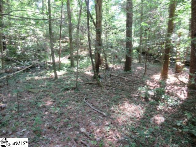126 Hambys, Pickens, South Carolina image 2