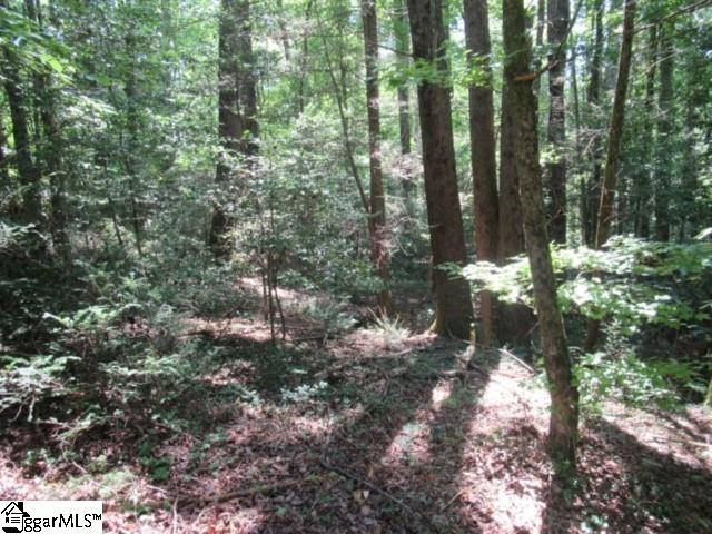 126 Hambys, Pickens, South Carolina image 11