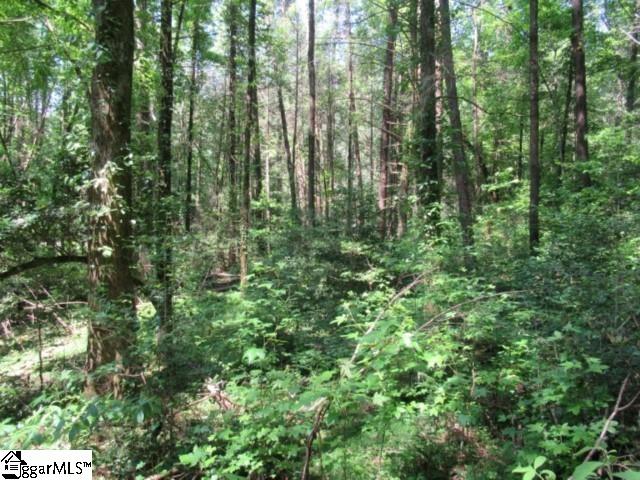 126 Hambys, Pickens, South Carolina image 19