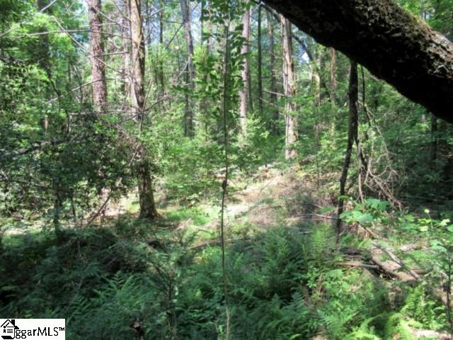 126 Hambys, Pickens, South Carolina image 20