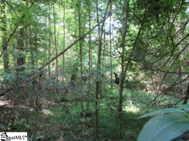 126 Hambys, Pickens, South Carolina image 21
