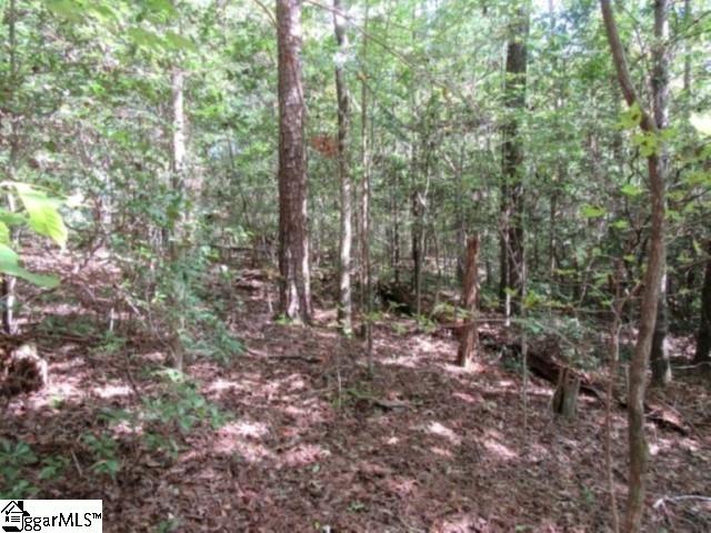 126 Hambys, Pickens, South Carolina image 31