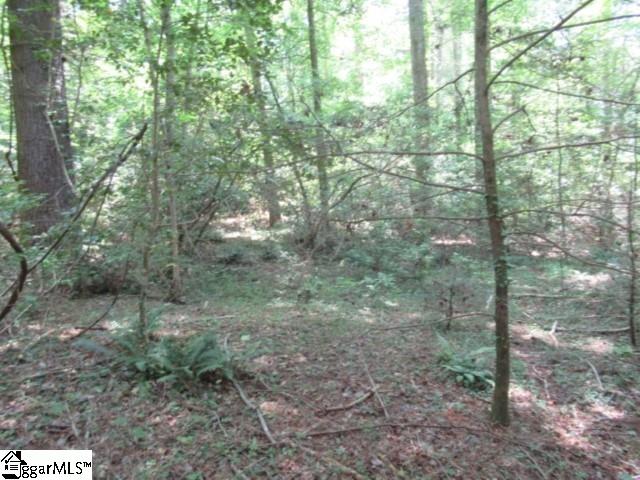 126 Hambys, Pickens, South Carolina image 8