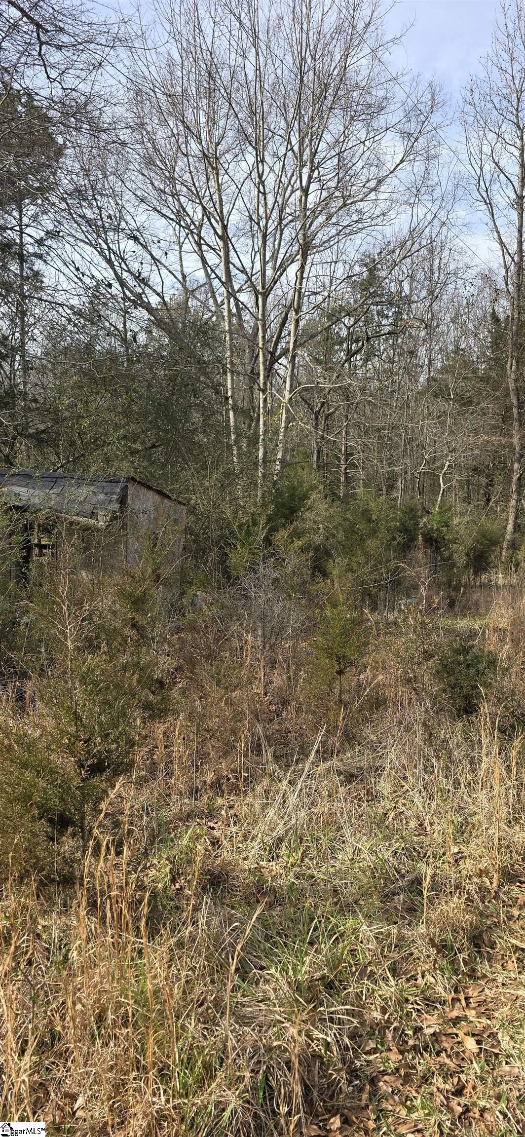 231 Oakdale, Townville, South Carolina image 15